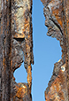Patina 13